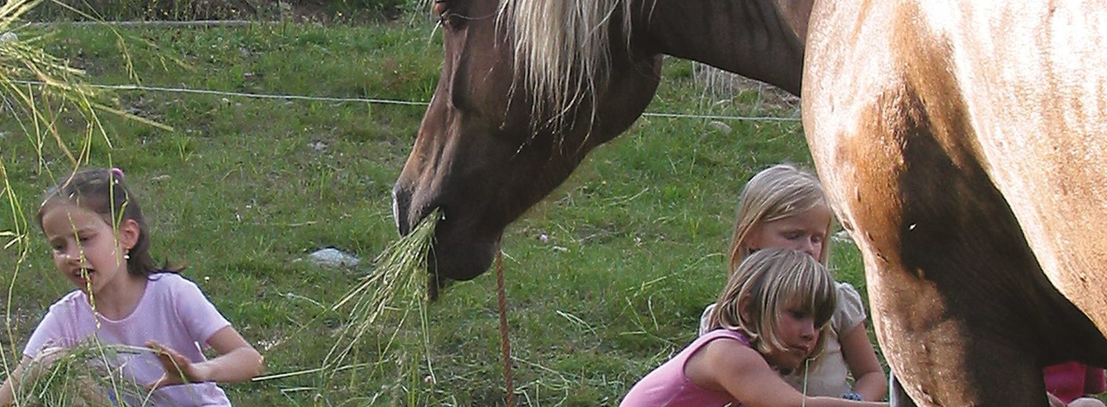 Winter Pferd Huette